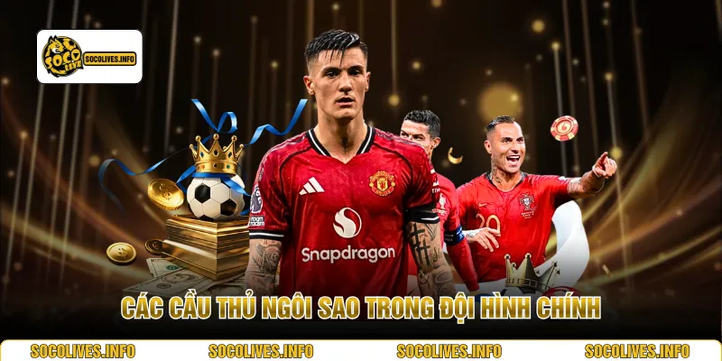 Các cầu thủ ngôi sao trong đội hình chính