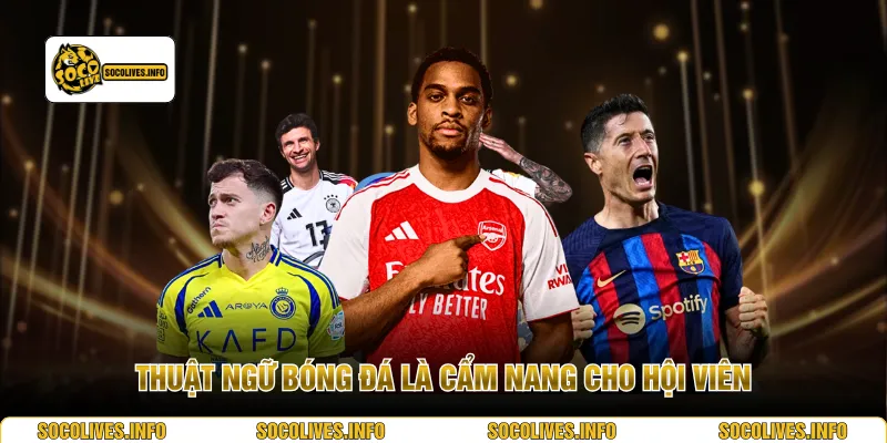 Thuật ngữ bóng đá là cẩm nang cho hội viên